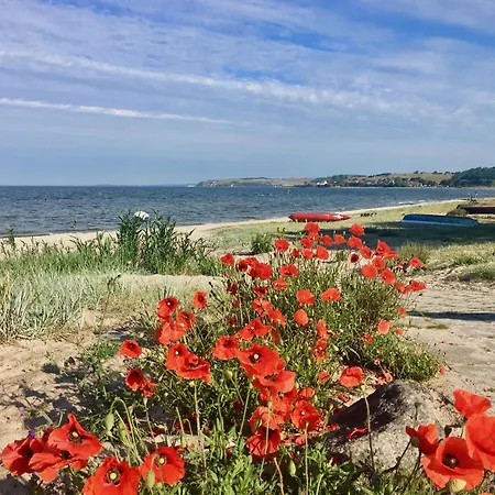 Haus Concordia 2 Fischbroetchen アパート ティースゾー