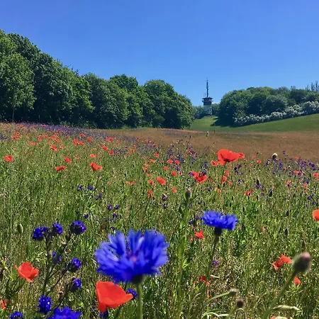 アパート Haus Concordia 2 Fischbroetchen