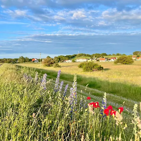 Haus Concordia 2 Fischbroetchen ティースゾー